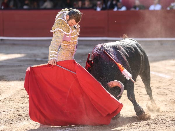 La barbilla en el pecho