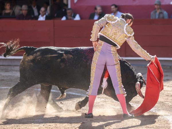 Templando al negro