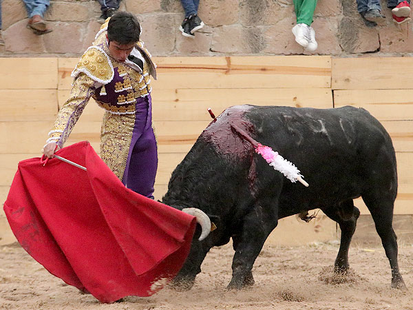 Tauromaquia depurada