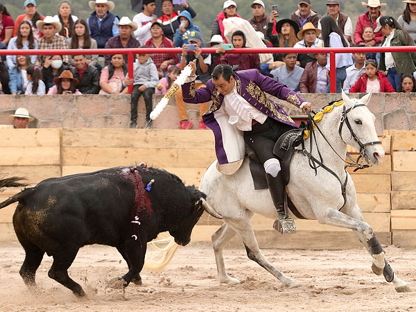 Dejando la banderilla