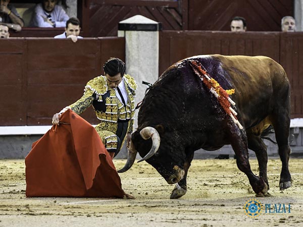 Rodilla en tierra