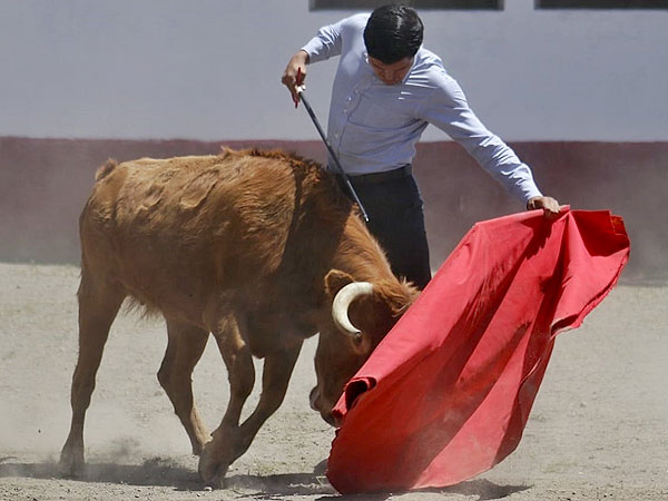 Luis Martnez tauromaquia depurada