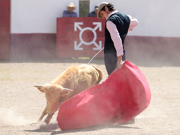 Apuntando el toreo bueno