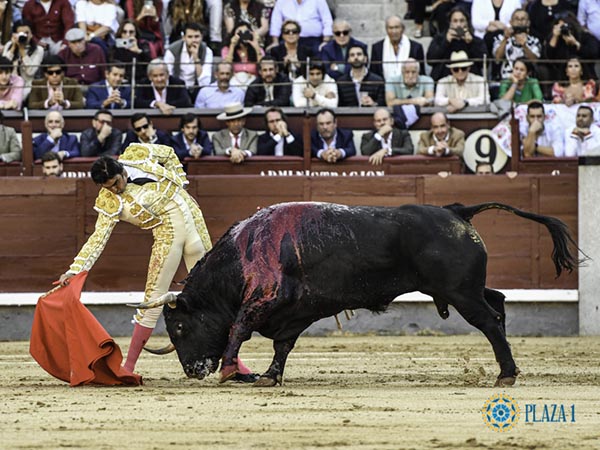 Miguel ngel inicia el festejo