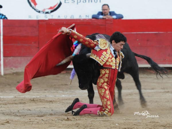 Entrega que reconoci la aficin