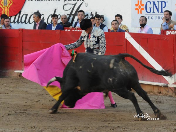 El turno de Alejandro Adame