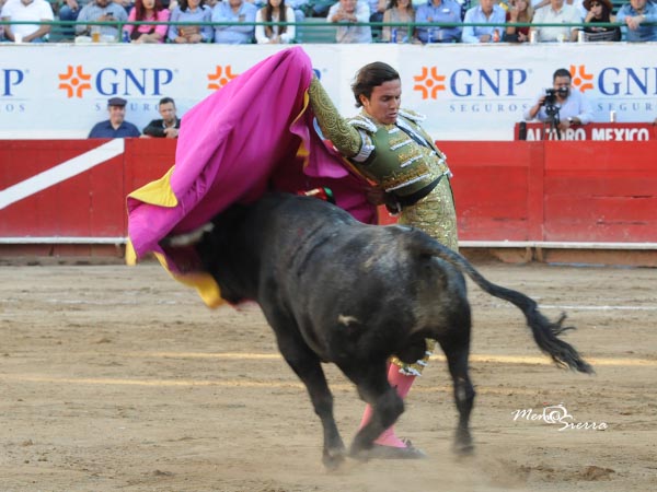 Jaleado en el primer tercio