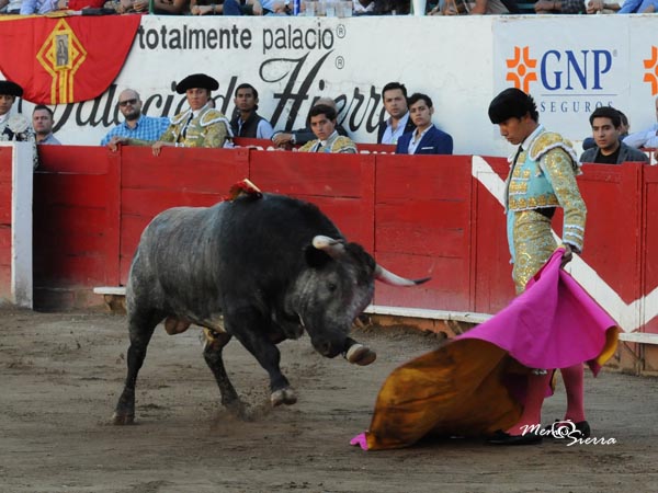 El saludo de Juan Dinasta