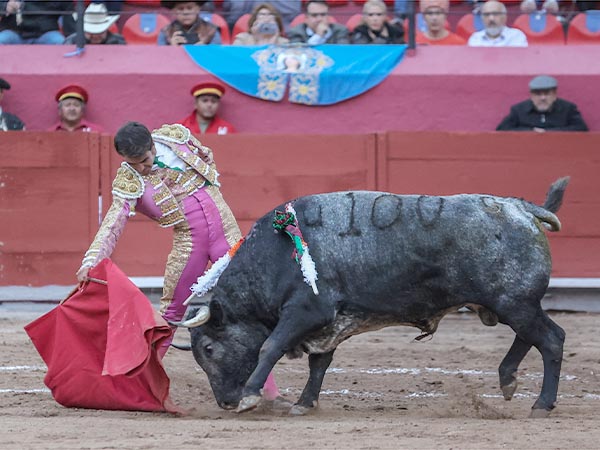 En el gusto de la bella airosa