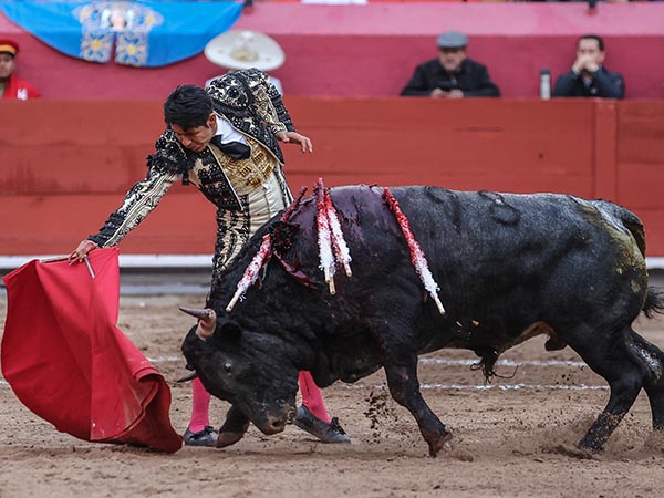 Tirando del paliabierto