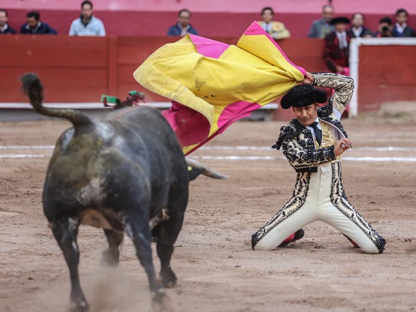 Larga en los medios