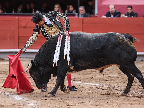 Templando al crdeno