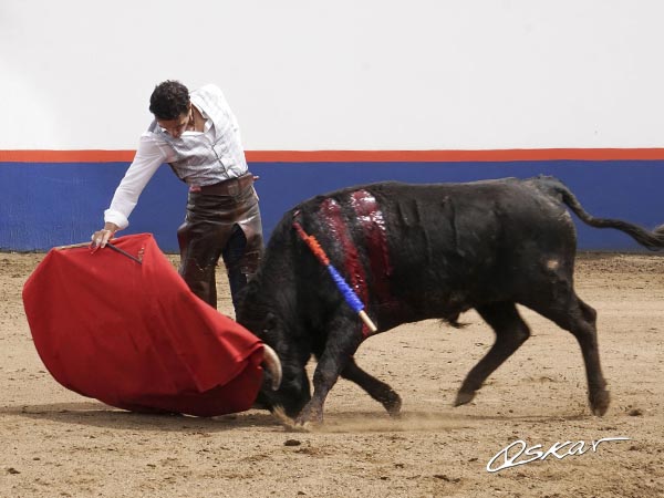 Entonado por el derecho