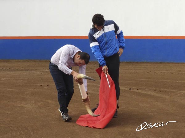 Dominio en mueca y brazo