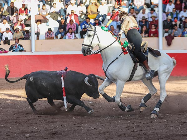 Una larga en los medios