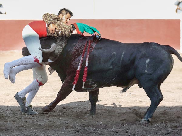 Espectaculares Amadores de Mxico