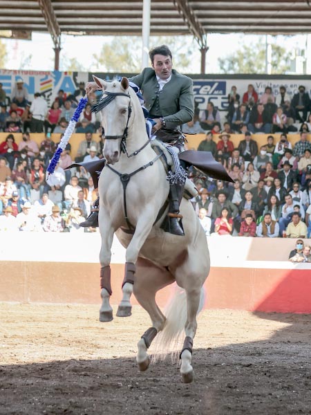 Piruetas del caballista