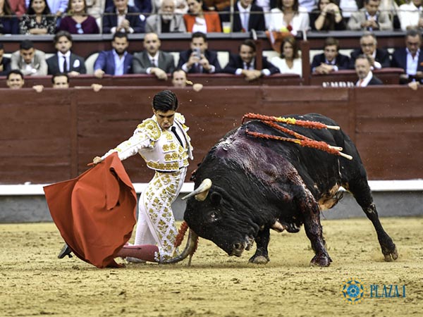 Doblones rodilla en tierra