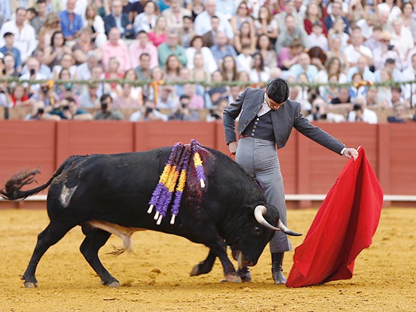 Templando al negro