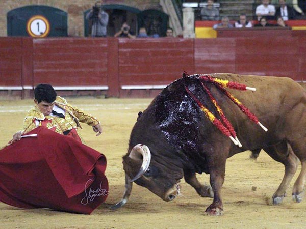 De hinojos en los medios