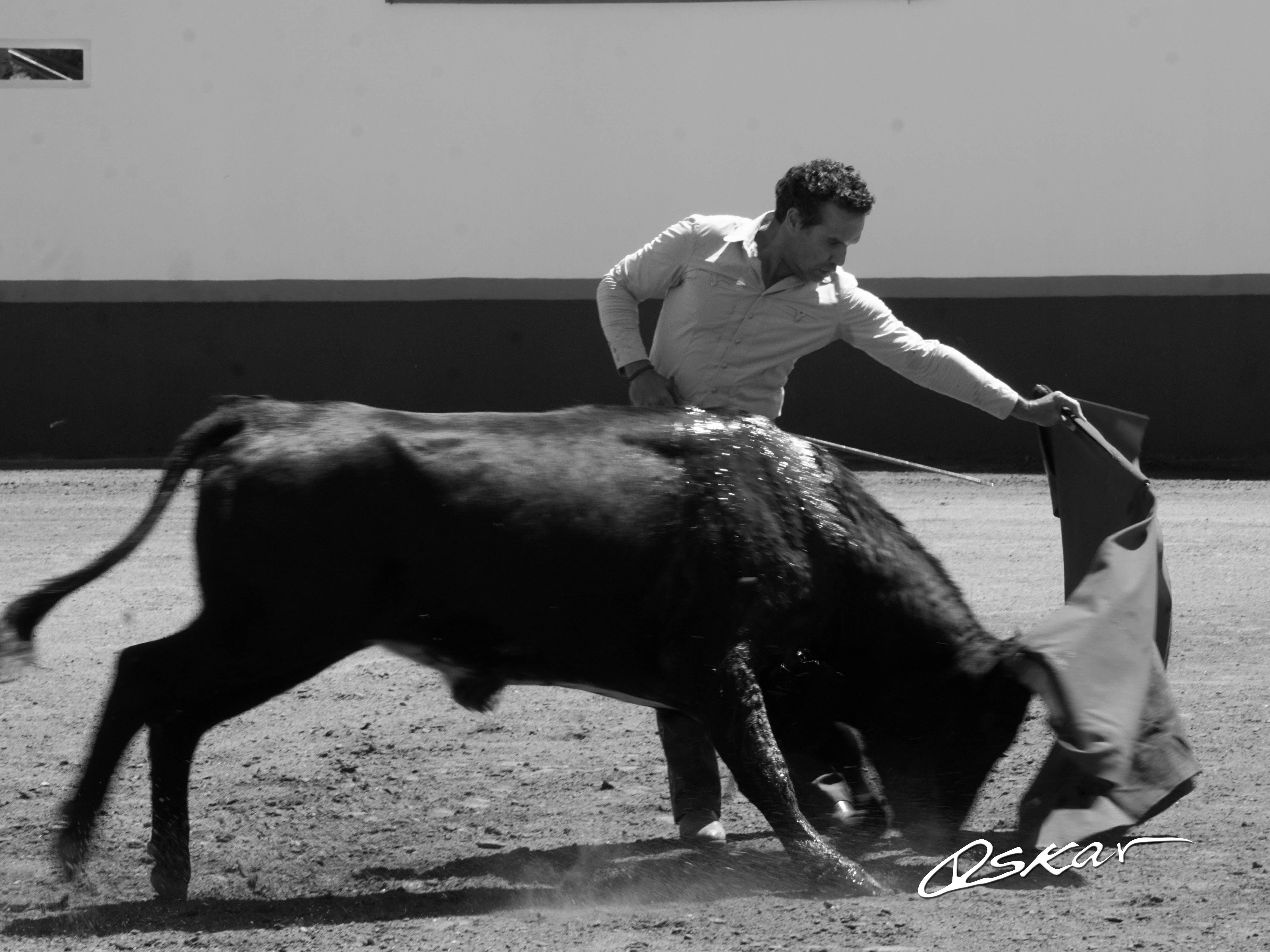 Metido en la tela