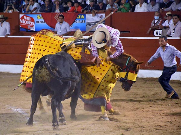 Lancero en peligro