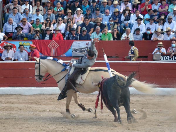 Morrillo adornado