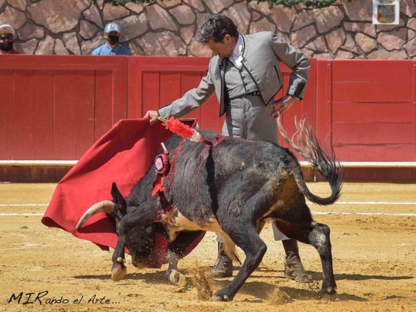 El Torero, jaleado en la lidia