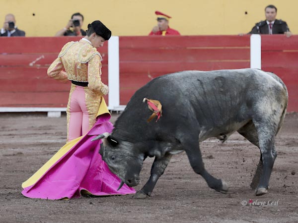 Bien plantado en la arena