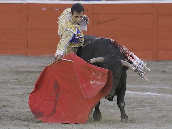 La cara a media altura