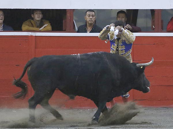 Cortas al hilo de las tablas