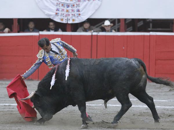 Templando al crdeno