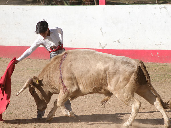 Pelez sin dudas