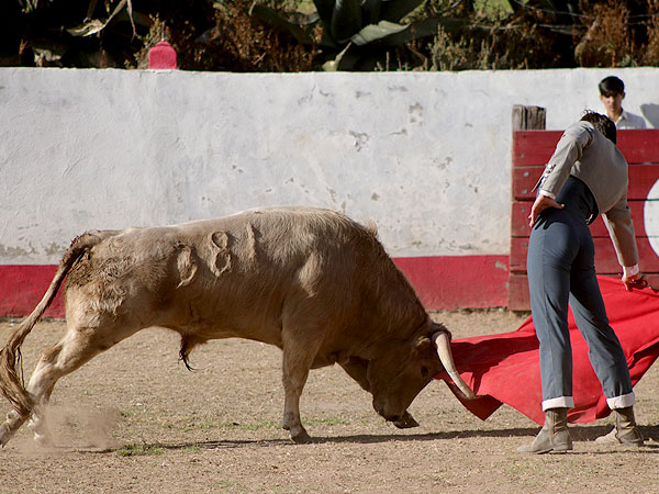 Calidad en la embestida