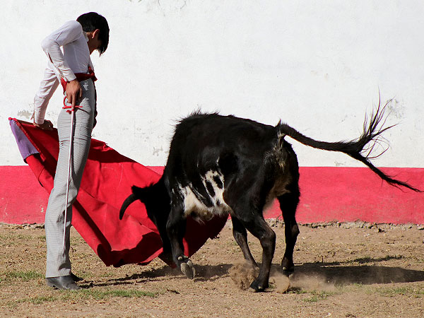 Apuntando el toreo bueno