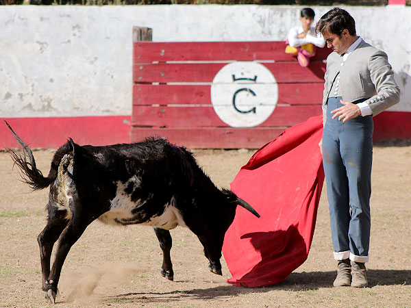 Ritmo y elegancia