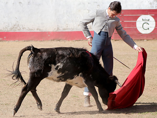 Acariciando la embestida