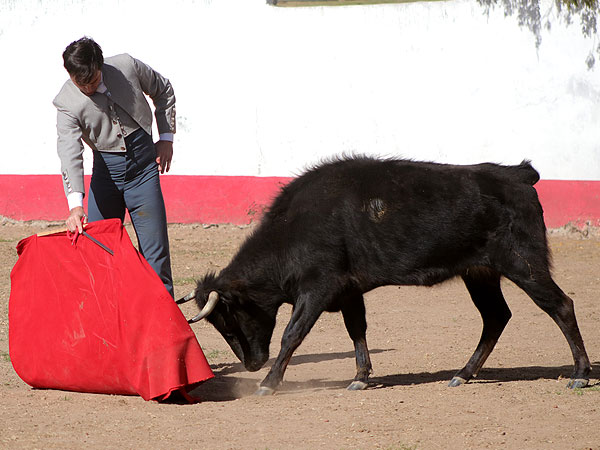 Calidad de Tenopala