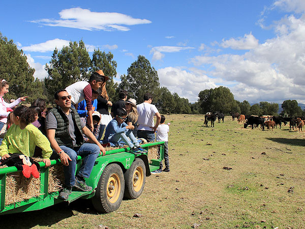 La belleza del campo