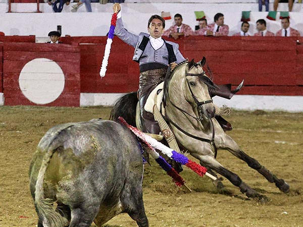 Jaca y caballista como uno solo