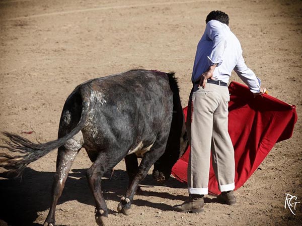 Cargando la suerte