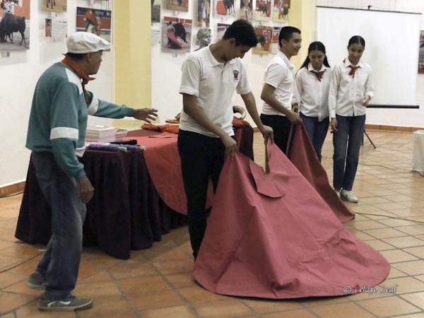 Instructor en la prctica