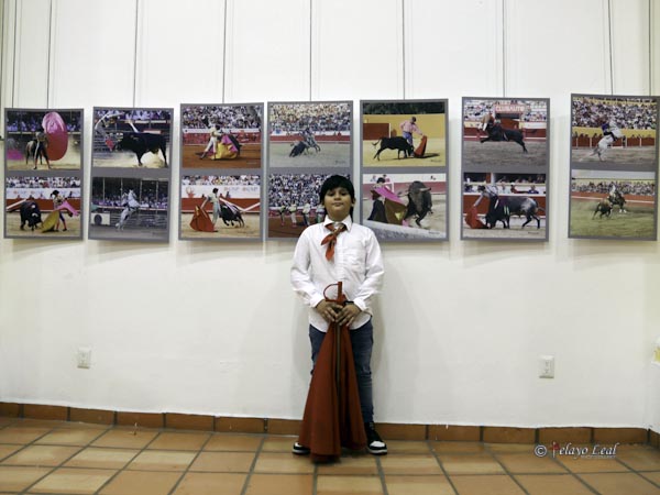 Matador en ciernes