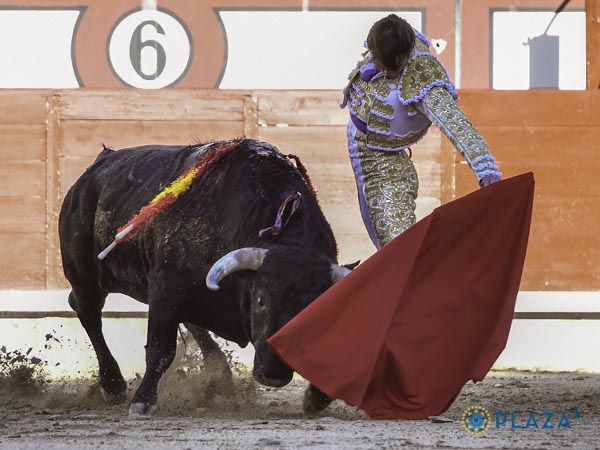 Ms calado por naturales