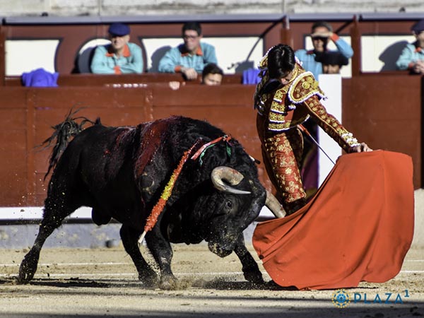 Frente al tendido de sol