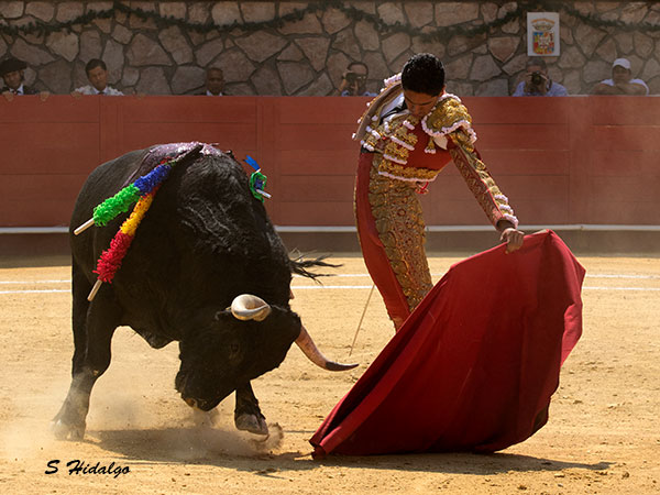 Faena de altos vuelos