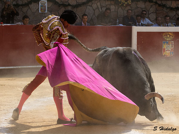 La aficin se le entrego