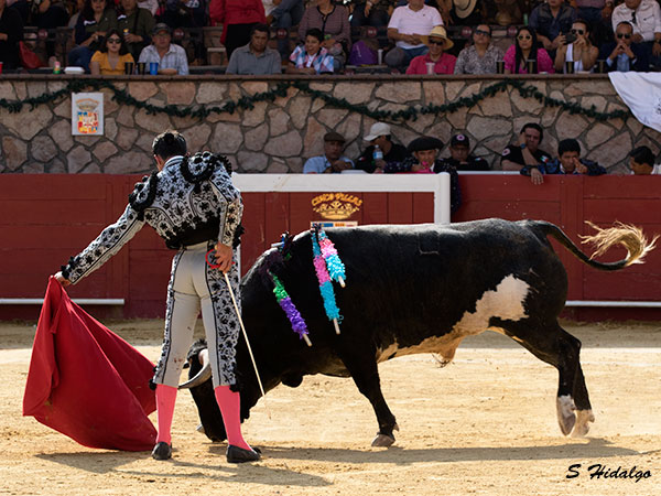 Bajando la muleta