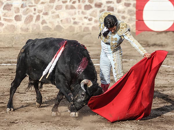 Tirando del negro