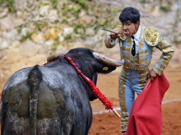 Perfilado en la suprema